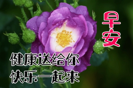 早安问候语：早上好，愿你有一个充满力量和能量的一天